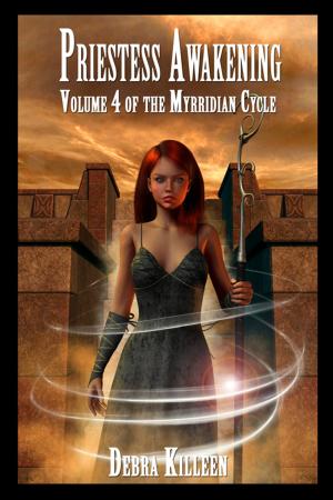 Cover of the book Priestess Awakening by Marcella Rowe