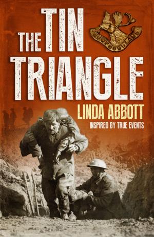 Book cover of The Tin Triangle