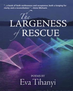 Cover of the book The Largeness of Rescue by Bonnie Lendrum
