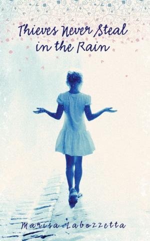 Cover of the book Thieves Never Steal in the Rain by Bianca Lakoseljac