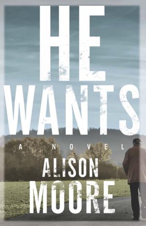 Cover of the book He Wants by Cynthia Flood