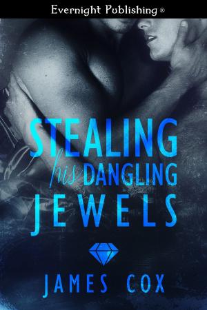Cover of the book Stealing His Dangling Jewels by Tamsin Baker