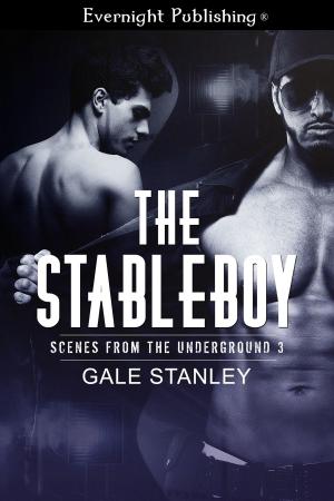Cover of the book The Stableboy by Khloe Wren