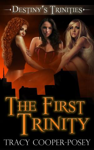 Cover of the book The First Trinity by Tracy Cooper-Posey