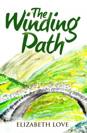 Book cover of The Winding Path