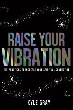 Cover of the book Raise Your Vibration by Lia Ping Lee