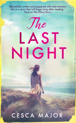 Cover of the book Last Night by Lizzie Lovell