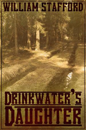 Cover of the book Drinkwaters Daughter by David Charles Manners