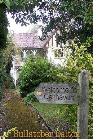 Cover of the book Welcome to Oakhaven by John A. Little