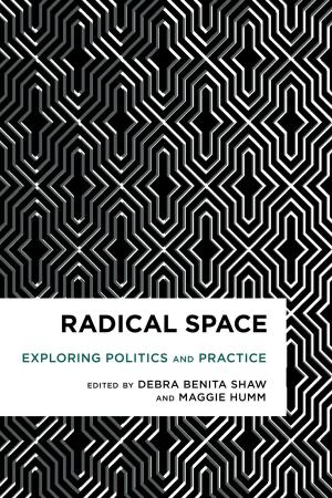 Cover of the book Radical Space by Michael O'Neill Burns