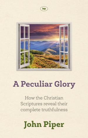 Cover of the book A Peculiar Glory by Steve Brady, Elizabeth McQuoid