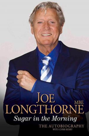 bigCover of the book Joe Longthorne by 