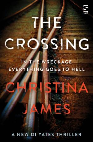 Cover of the book The Crossing by Vanessa Gebbie