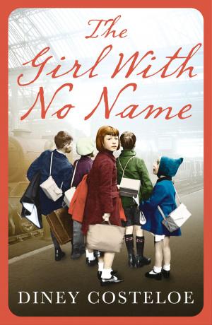 Cover of The Girl With No Name by Diney Costeloe, Head of Zeus