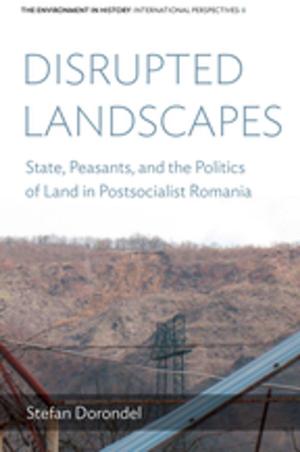 Cover of the book Disrupted Landscapes by Jozefien De Bock