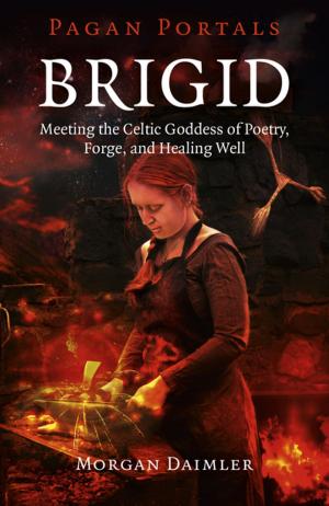 Cover of the book Pagan Portals - Brigid by Lee Morgan