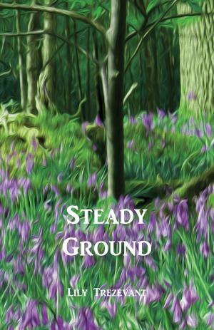 bigCover of the book Steady Ground by 