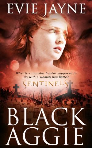 Cover of the book Black Aggie by A.J. Llewellyn, Serena Yates