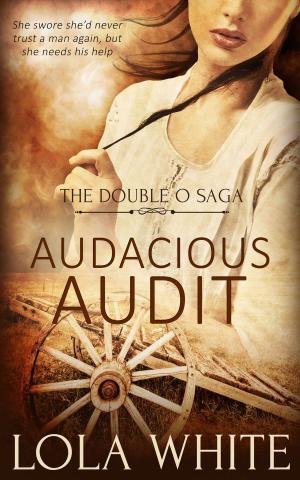 Book cover of Audacious Audit