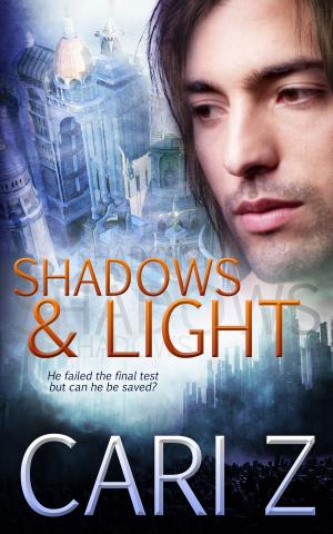 Cover of the book Shadows and Light by Aliyah Burke