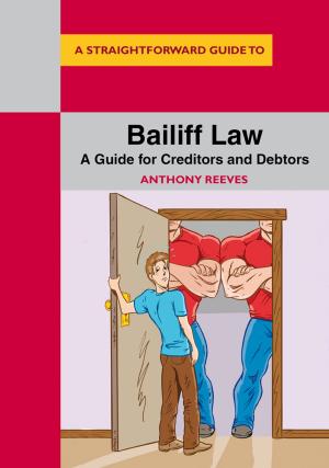 Cover of the book Bailiff Law by David Marsh