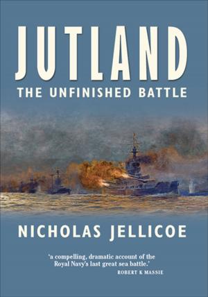 Cover of the book Jutland by Richard Hargreaves