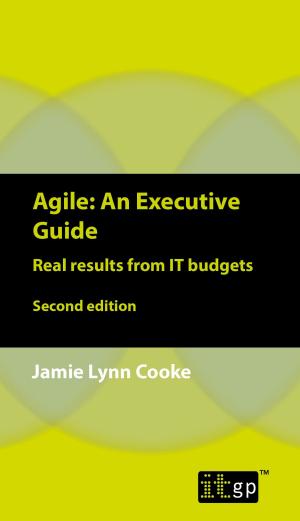 Book cover of Agile An Executive Guide