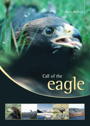 Cover of the book Call of the Eagle by Malcolm Grimston