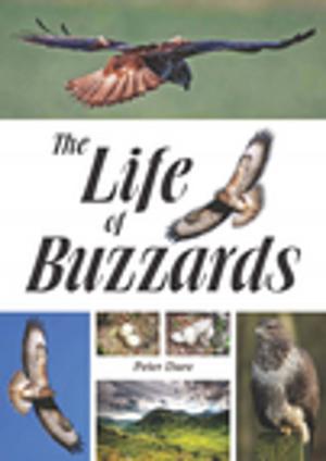 Cover of the book The Life of Buzzards by Professor Gert De Schutter, P. J. M. Bartos, Dr Peter Domone