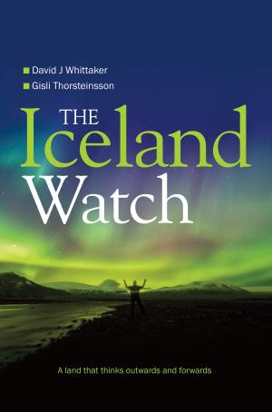 Cover of the book The Iceland Watch by Christina Cope