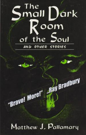 bigCover of the book The Small Dark Room of the Soul and Other Stories by 