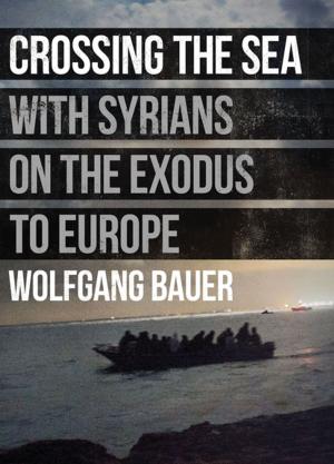 Cover of the book Crossing the Sea by Iosi Havilio