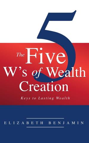 Cover of the book The Five W's of Wealth Creation by Pamela Metz
