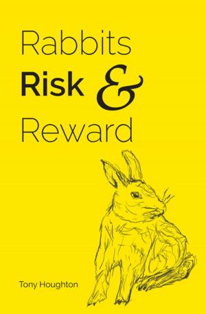 Book cover of Rabbits Risk & Reward
