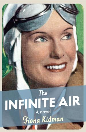 bigCover of the book The Infinite Air by 