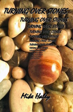 Cover of the book Turning Over Stones by Elizabeth Revill