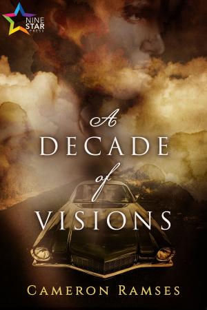 Cover of the book A Decade of Visions by D.L. King