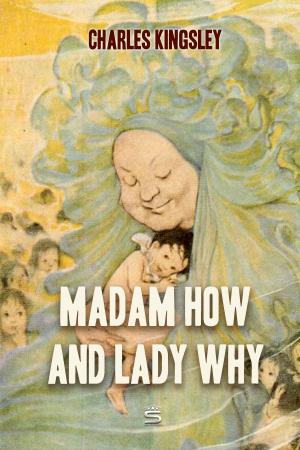 Cover of the book Madam How and Lady Why by James Stephens