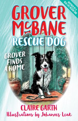 Book cover of Grover Finds a Home
