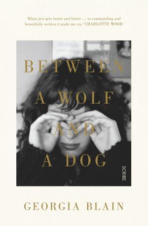 Cover of the book Between a Wolf and a Dog by Robert Hillman