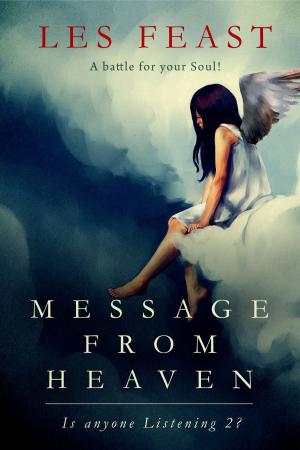 Cover of Message from Heaven – Is anyone Listening 2?