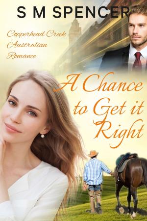Cover of the book A Chance to Get it Right by T. R. Baker