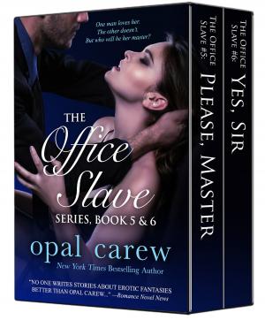 Cover of the book The Office Slave Series, Book 5 & 6 Collection by Leanne Banks