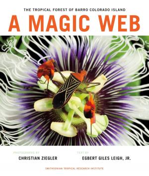 Cover of the book A Magic Web by Milton O. Thompson