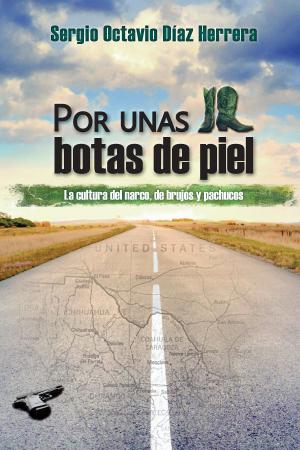 Cover of Por unas botas de piel
