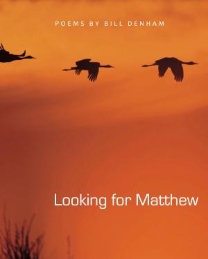 Cover of the book Looking for Matthew by Karen Baldwin