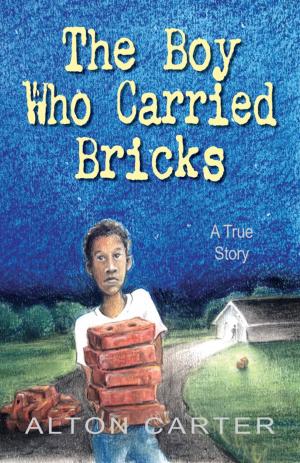 Cover of the book The Boy Who Carried Bricks by George Bissett