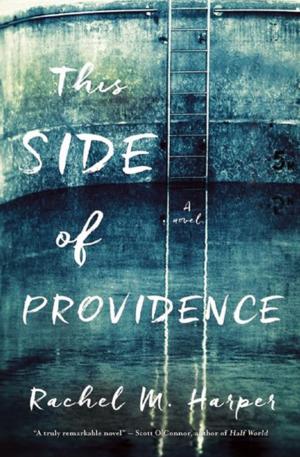 Cover of the book This Side of Providence by Jill Orr