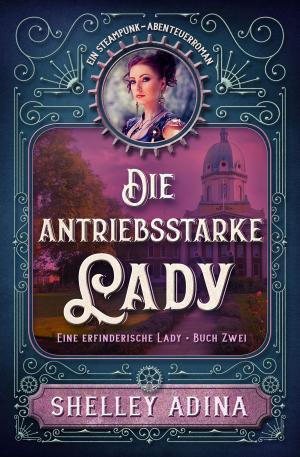 Cover of the book Die antriebsstarke Lady by Troon Harrison