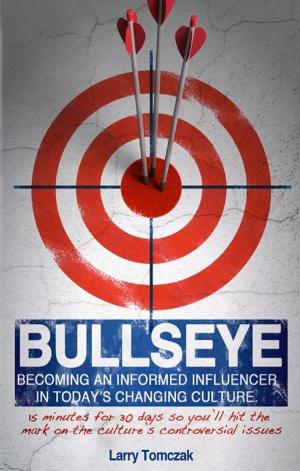 Cover of the book Bullseye by Cirsten Weldon